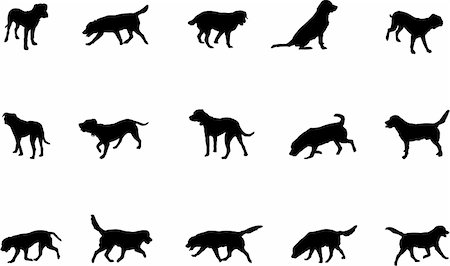 retriever silhouette - dogs silhouettes Stock Photo - Budget Royalty-Free & Subscription, Code: 400-05042054