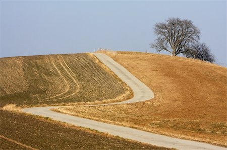 simsearch:400-07097368,k - Rural landscape with lone tree and path leading to it. Photographie de stock - Aubaine LD & Abonnement, Code: 400-05042154