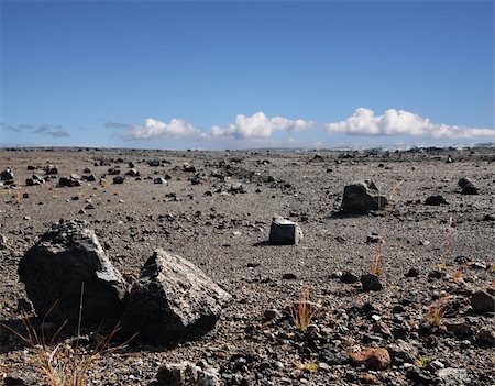 simsearch:400-05114623,k - Old lava field on Big island, Hawaii Fotografie stock - Microstock e Abbonamento, Codice: 400-05043600