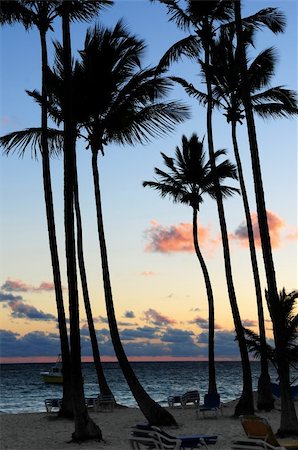 empty beach sunrise - Palm trees silhouettes at sunrise at tropical resort Stock Photo - Budget Royalty-Free & Subscription, Code: 400-05054263