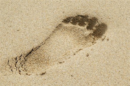 footstep in the sand Stock Photo - Budget Royalty-Free & Subscription, Code: 400-05054367