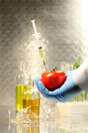 simsearch:400-05235334,k - Hand holding tomato with syringe for genetic testing Foto de stock - Super Valor sin royalties y Suscripción, Código: 400-05054896
