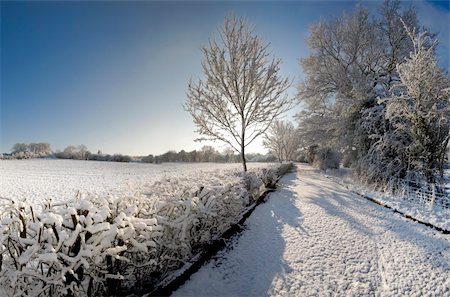 davidmartyn (artist) - A snow covered rural landscape in the countryside Photographie de stock - Aubaine LD & Abonnement, Code: 400-05055374
