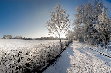 A snow covered rural landscape in the countryside Photographie de stock - Aubaine LD & Abonnement, Code: 400-05055374