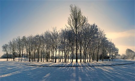 simsearch:400-04015478,k - A snow covered rural landscape in the countryside Stock Photo - Budget Royalty-Free & Subscription, Code: 400-05055379