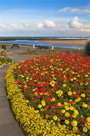 simsearch:400-05040144,k - Garden near the East Beach with cloudy sky in Lossiemouth, Scotland Photographie de stock - Aubaine LD & Abonnement, Code: 400-05056122