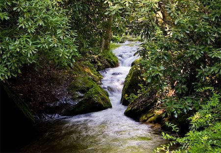 simsearch:400-03973407,k - Rushing river through narrow gap in wooden area Stock Photo - Budget Royalty-Free & Subscription, Code: 400-05057942