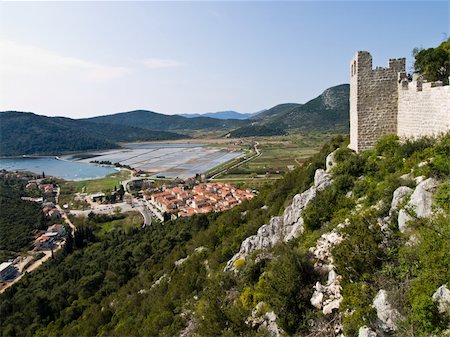 pan tree - Second longest world walls. Ston small town near Dubrovnik, Croatia with old salt pans still in use. Stock Photo - Budget Royalty-Free & Subscription, Code: 400-05058632