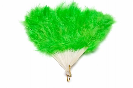 snaka (artist) - Green plumage fan for childrens. Isolated Photographie de stock - Aubaine LD & Abonnement, Code: 400-05058687