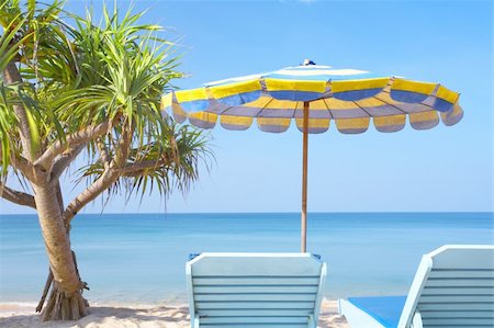 simsearch:400-04243517,k - View of nice empty sandy beach with fragment of a  mangrove tree Foto de stock - Super Valor sin royalties y Suscripción, Código: 400-05058754