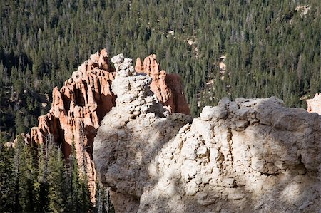 rim sand - Black Birch Canyon, Bryce Canyon National Park in Utah, USA Stock Photo - Budget Royalty-Free & Subscription, Code: 400-05059215