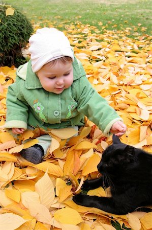 baby and cat at a park in Autumn Stock Photo - Budget Royalty-Free & Subscription, Code: 400-05059258