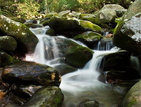 Water cascading over moss covered rocks in forest setting Stock Photo - Budget Royalty-Free & Subscription, Code: 400-05050005