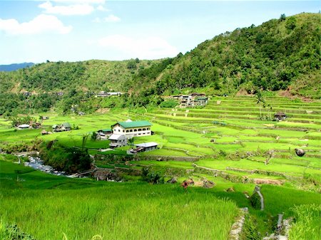 A shot of Hapao rice terraces village in Ifugao province, Philippines. Fotografie stock - Microstock e Abbonamento, Codice: 400-05050002