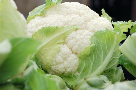 a close look at snowball like Cauliflower Stock Photo - Budget Royalty-Free & Subscription, Code: 400-05050978