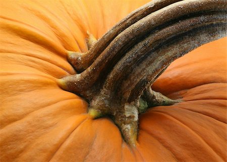 simsearch:400-04008520,k - Closeup of an Orange Pumpkin with Brown Stem Stock Photo - Budget Royalty-Free & Subscription, Code: 400-05052203