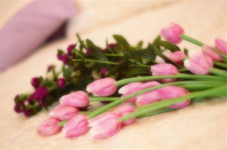 bouquet of tulips Stockbilder - Microstock & Abonnement, Bildnummer: 400-05052224