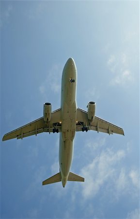 Aeroplane in portrait mode Stockbilder - Microstock & Abonnement, Bildnummer: 400-05052231