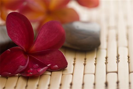 Frangipani flower and polished stone on tropical bamboo mat Stockbilder - Microstock & Abonnement, Bildnummer: 400-05052395