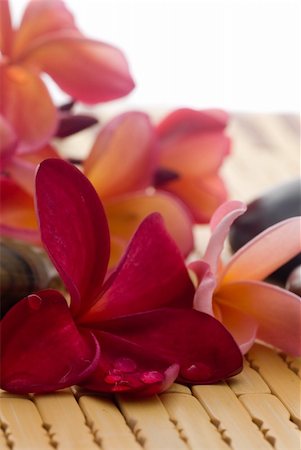 Frangipani flower and polished stone on tropical bamboo mat Stockbilder - Microstock & Abonnement, Bildnummer: 400-05052396