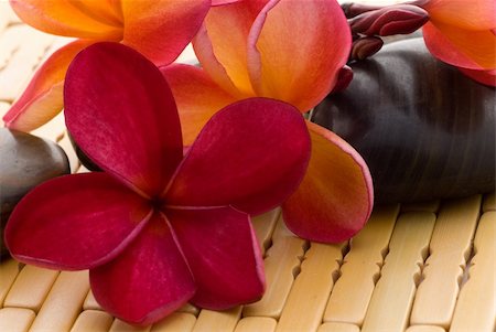 Frangipani flower and polished stone on tropical bamboo mat Stockbilder - Microstock & Abonnement, Bildnummer: 400-05052393