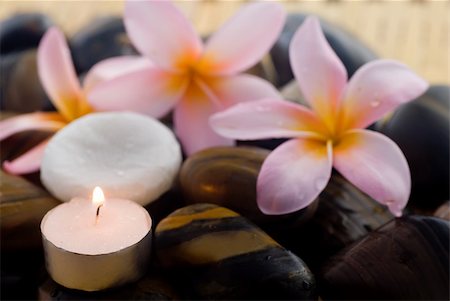 Aromatherapy and spa massage on tropical bamboo and polished stones. Stockbilder - Microstock & Abonnement, Bildnummer: 400-05052406