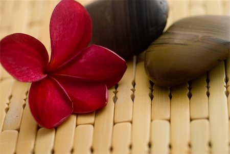 petal on stone - Frangipani flower and polished stone on tropical bamboo mat Photographie de stock - Aubaine LD & Abonnement, Code: 400-05052402