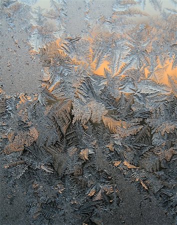 frost window not people - Frost patterns on the window. Winter morning. Stock Photo - Budget Royalty-Free & Subscription, Code: 400-05053197