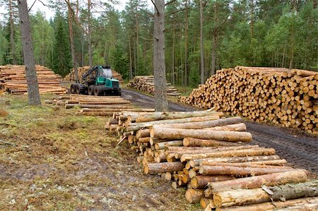 Tractor works in forest with lumbers, first part of timber business Foto de stock - Super Valor sin royalties y Suscripción, Código: 400-05053611