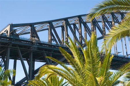 Detail of Sydney Harbour ( harbor ) Bridge with palm Trees on a blue sky day Stock Photo - Budget Royalty-Free & Subscription, Code: 400-05053635
