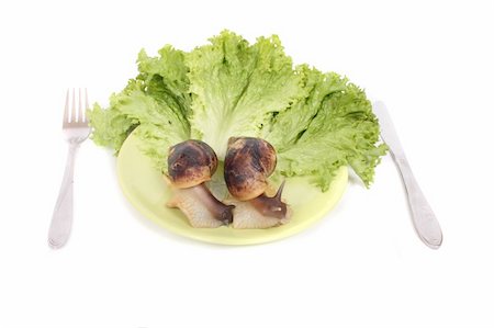 nice big snail on the white background as dinner Stock Photo - Budget Royalty-Free & Subscription, Code: 400-05053885