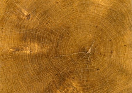 simsearch:400-08110547,k - close-up wooden cut texture Stock Photo - Budget Royalty-Free & Subscription, Code: 400-05064651
