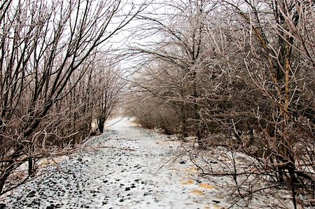 sleet - Winter weather, ice storm, along walking trail Stock Photo - Budget Royalty-Free & Subscription, Code: 400-05064880