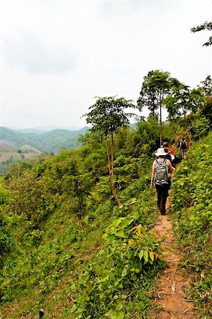 Travellers hiking in jungle mountains in northern Thailand Stock Photo - Budget Royalty-Free & Subscription, Code: 400-05064883