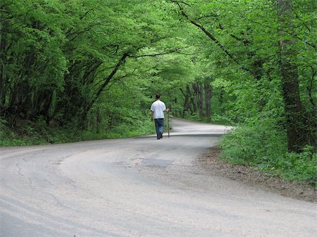 simsearch:400-05716719,k - Walk in a beautiful wood on curve road Stock Photo - Budget Royalty-Free & Subscription, Code: 400-05065663