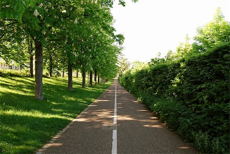 simsearch:400-04510341,k - Serene green alley in Ludwigsburg, southern Germany Photographie de stock - Aubaine LD & Abonnement, Code: 400-05066818