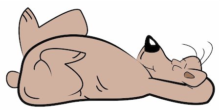 sleeping bear lying on his back Stock Photo - Budget Royalty-Free & Subscription, Code: 400-05067336