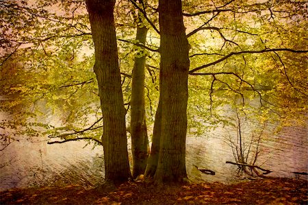 simsearch:400-05071947,k - Artistic work of my own in retro style - Postcard from Denmark. - Beech forest with creek and lake Foto de stock - Super Valor sin royalties y Suscripción, Código: 400-05067394
