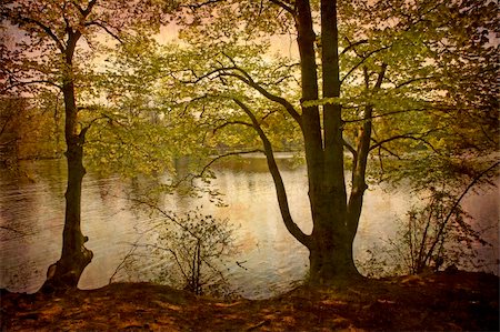 simsearch:400-05071947,k - Artistic work of my own in retro style - Postcard from Denmark. - Beech forest with creek and lake Foto de stock - Super Valor sin royalties y Suscripción, Código: 400-05067393