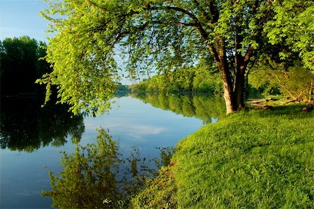 parc naturel national - Lush green riverland Photographie de stock - Aubaine LD & Abonnement, Code: 400-05068917