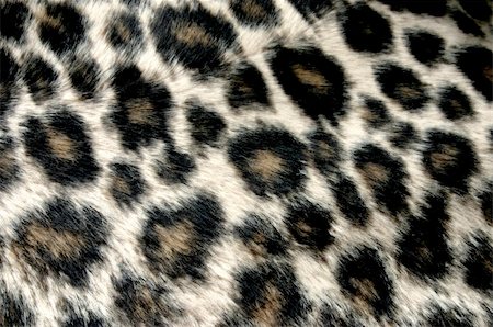 panther pattern Stock Photo - Budget Royalty-Free & Subscription, Code: 400-05069739