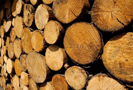 Woodstack background of big stacked logs Stock Photo - Budget Royalty-Free & Subscription, Code: 400-05069755