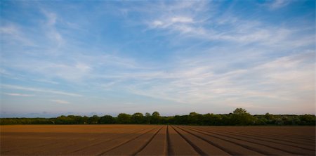 ploughed field england - Field ready for planting of crops in Norfolk, East Anglia. Stock Photo - Budget Royalty-Free & Subscription, Code: 400-05069979