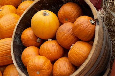 santa claus fruits - Orange Pumpkins on a market Stock Photo - Budget Royalty-Free & Subscription, Code: 400-05060044