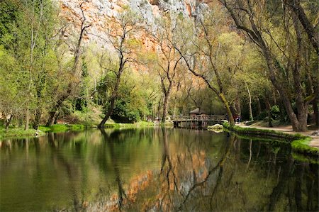 reflected trees on a lake in saragossa aragon spain Stock Photo - Budget Royalty-Free & Subscription, Code: 400-05060223