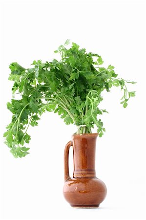 simsearch:400-05919877,k - fresh parsley in vase - isolated Stock Photo - Budget Royalty-Free & Subscription, Code: 400-05060484