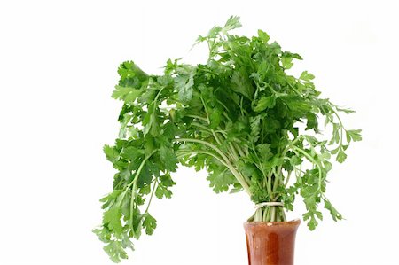 simsearch:400-05919877,k - fresh parsley in vase - isolated Stock Photo - Budget Royalty-Free & Subscription, Code: 400-05060485