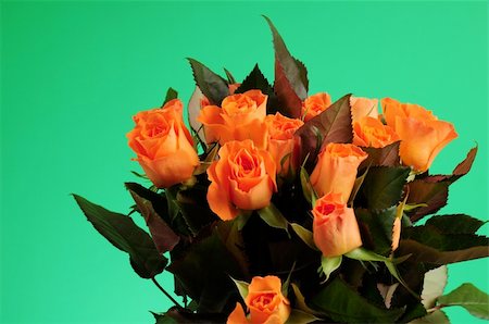 simsearch:400-04842608,k - Orange rose in front of green background Stock Photo - Budget Royalty-Free & Subscription, Code: 400-05061163