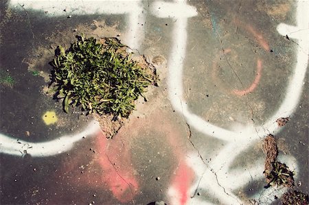 simsearch:400-05901933,k - concrete ground background. Full of graffitti paints. Grunge background Stock Photo - Budget Royalty-Free & Subscription, Code: 400-05061279