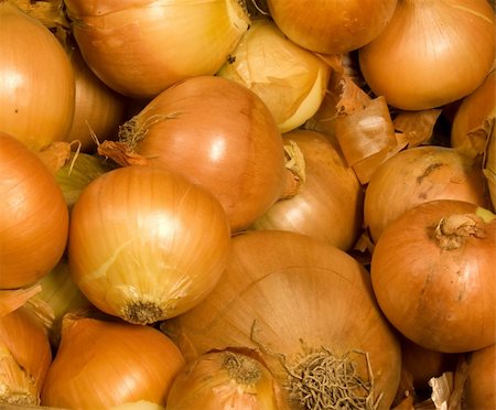dragunov (artist) - The backgound of onions Stock Photo - Budget Royalty-Free & Subscription, Code: 400-05062243